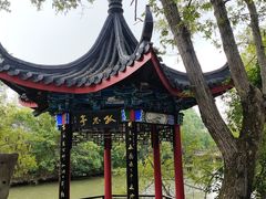 -南汇桃花村