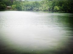 -紫霞湖公园