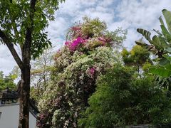 -深圳国际园林花卉博览园