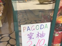-百果园PAGODA(南沙路店)