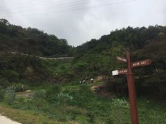-中山市树木园