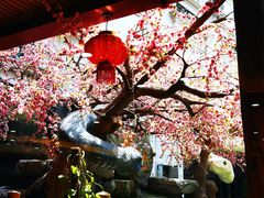 -榕记(番禺总店)