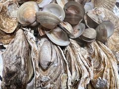 -山东八大碗山东老字号