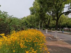 -江南大学(蠡湖校区)