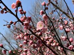 -江南大学(蠡湖校区)