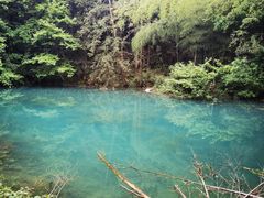 -天花井景区