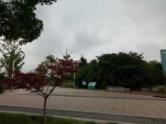 -九里河湿地公园