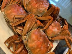 盘锦河蟹-小时候2013(瀚新店)