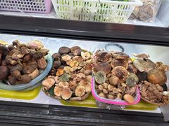 -野菌王•养生汤锅•野生菌火锅(大理漾濞路店)
