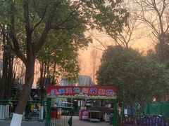 -洋湖国家湿地公园