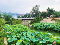 -静之湖度假区