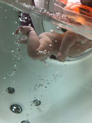 -爱乐婴童水育早教中心·儿童游泳中心(田园商业广场店)