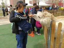 -萌宠亲子动物乐园(槐房万达店)