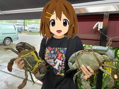 -龙海鲜螃蟹王(宏茂桥店)