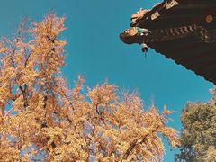 -宝通禅寺