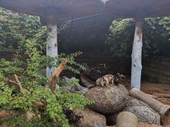 -泉州海丝野生动物世界