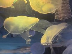-横店影视城梦幻谷园区