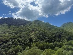 -灵山