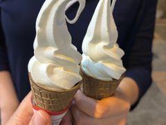 -富豪雪糕车流动点(尖沙咀)