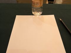 -上海南新雅大酒店