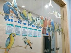 -瑞派名望24h动物医院异宠专科·猫专科·骨科·重症监护分院