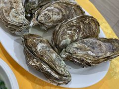 -蚝专家(北滘店)