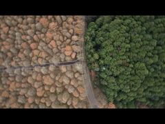 -山王坪喀斯特国家生态公园