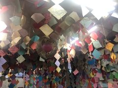 -泸沽肴(泸沽湖大洛水村农村信用社旁店)