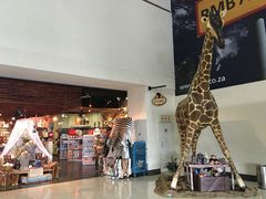 -奥利弗·雷金纳德·坦博国际机场