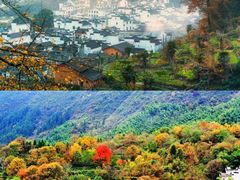 -塔川景区