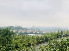 -铁山坪森林公园