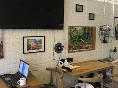 -平行世界·猫咖(首经贸店)
