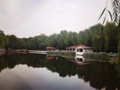-丰台花园