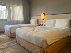 -新加坡雅庭假日酒店