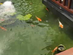 -濮园 · 四合院餐厅