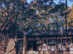 -深圳国际园林花卉博览园