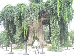 -石家庄市植物园