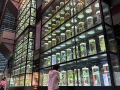 -广东中医药博物馆