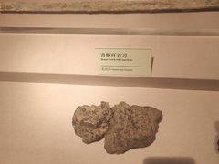 -台州博物馆