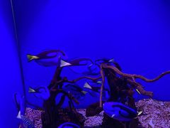 -海合安青岛极地海洋公园