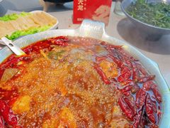 -渝大龙重庆火锅(温泉月亮湾店)