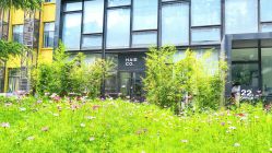 -Hair Co.一间沙龙