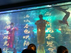 -大明湖海底世界
