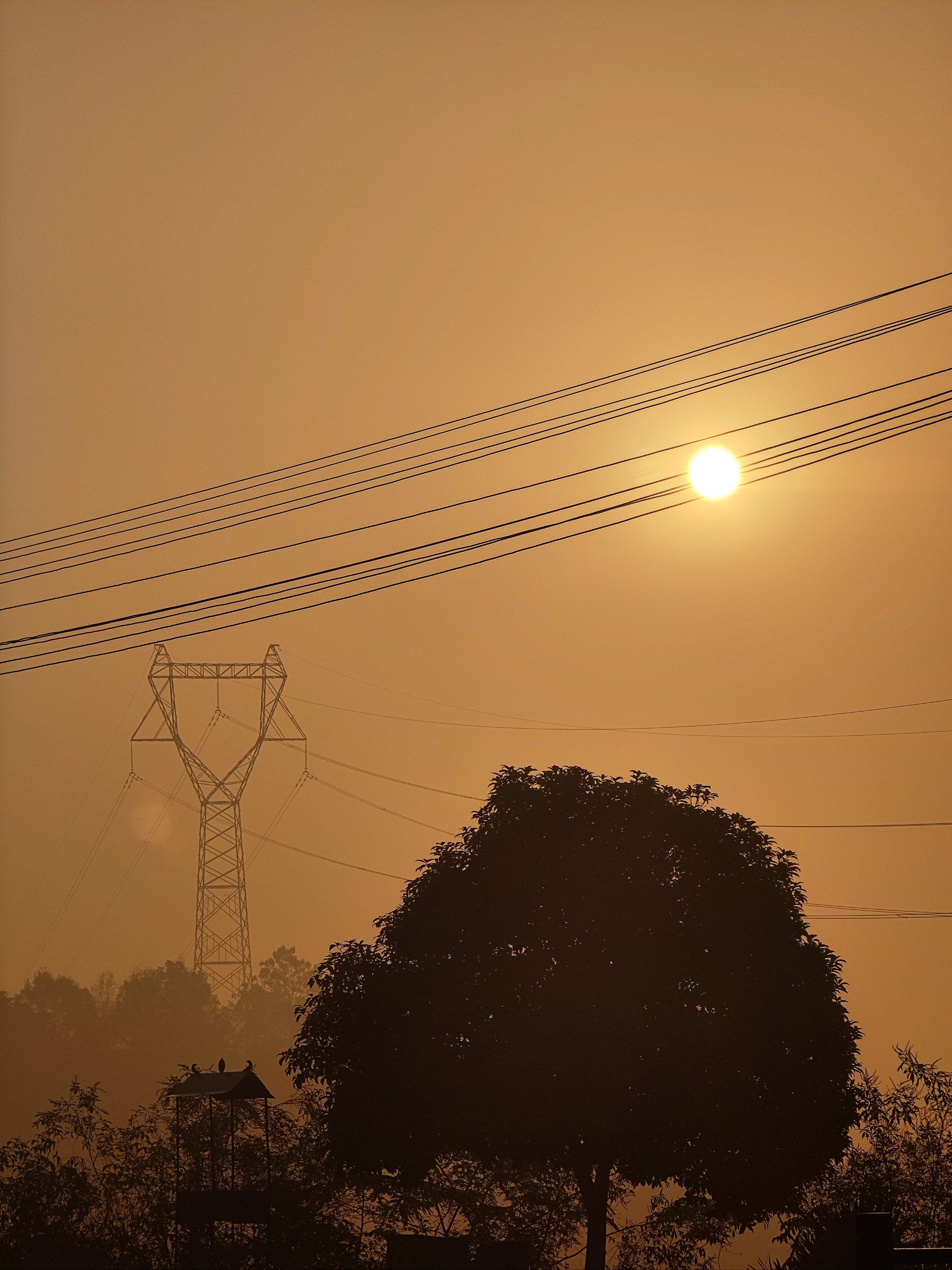 清晨朝阳美如画!