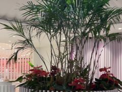 -LANN I 蘭 SPA(陆家嘴中心店)