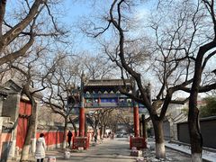 -北京国子监胡同