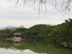 -江心屿景区