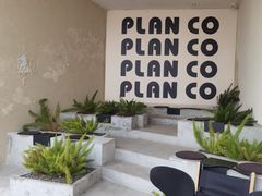 -PLAN CO