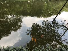 -忠山公园