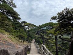 -黄山风景区